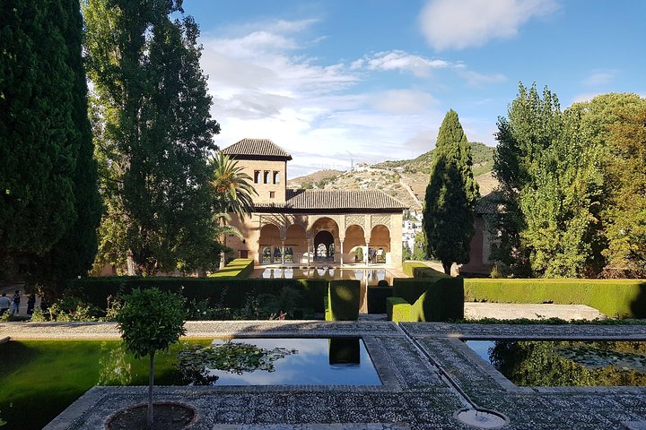 Visita Alhambra Jardines