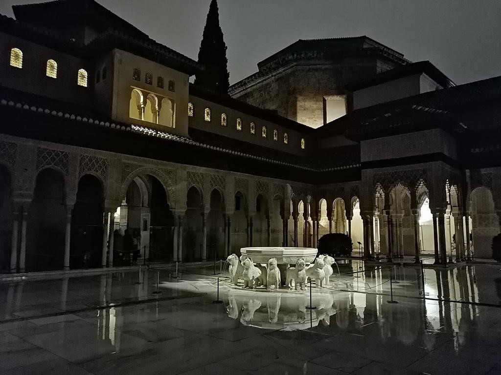 Visita nocturna Alhambra