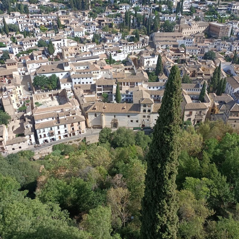 Turismo de Granada con TripGranada