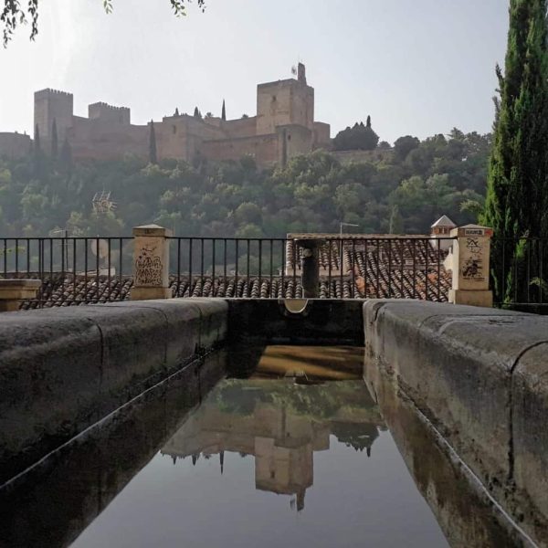 Visita Alhambra en grupo
